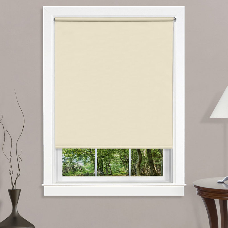 Symple Stuff Tear down Room Darkening Roller Shade Wayfair